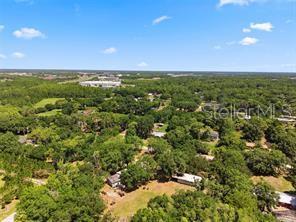 17214 Chinaberry Road Lutz, FL 33558 - Photo 8 of 9