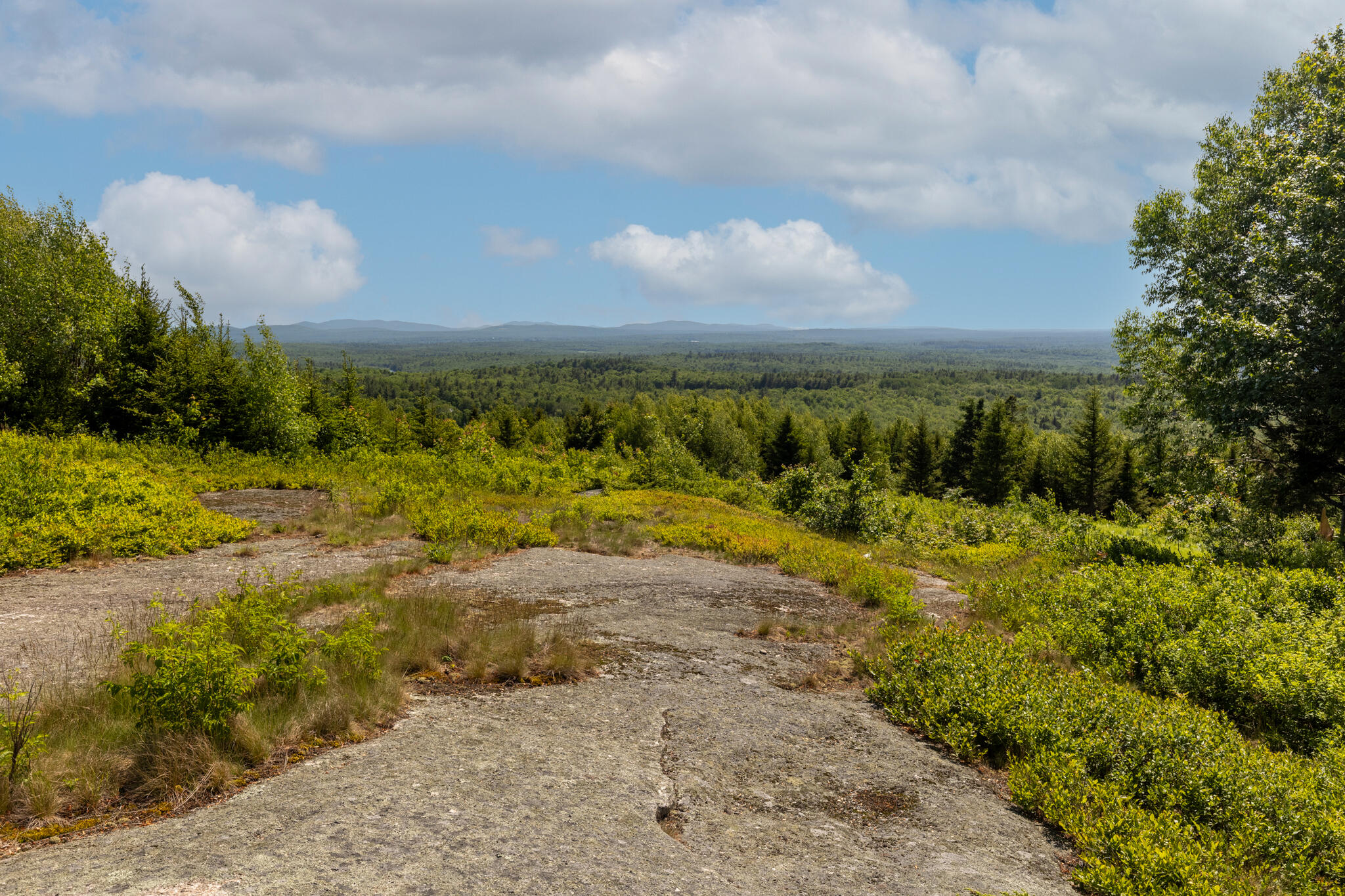 533 Mt Ephraim Road Searsport, ME 04974 - Photo 50 of 70
