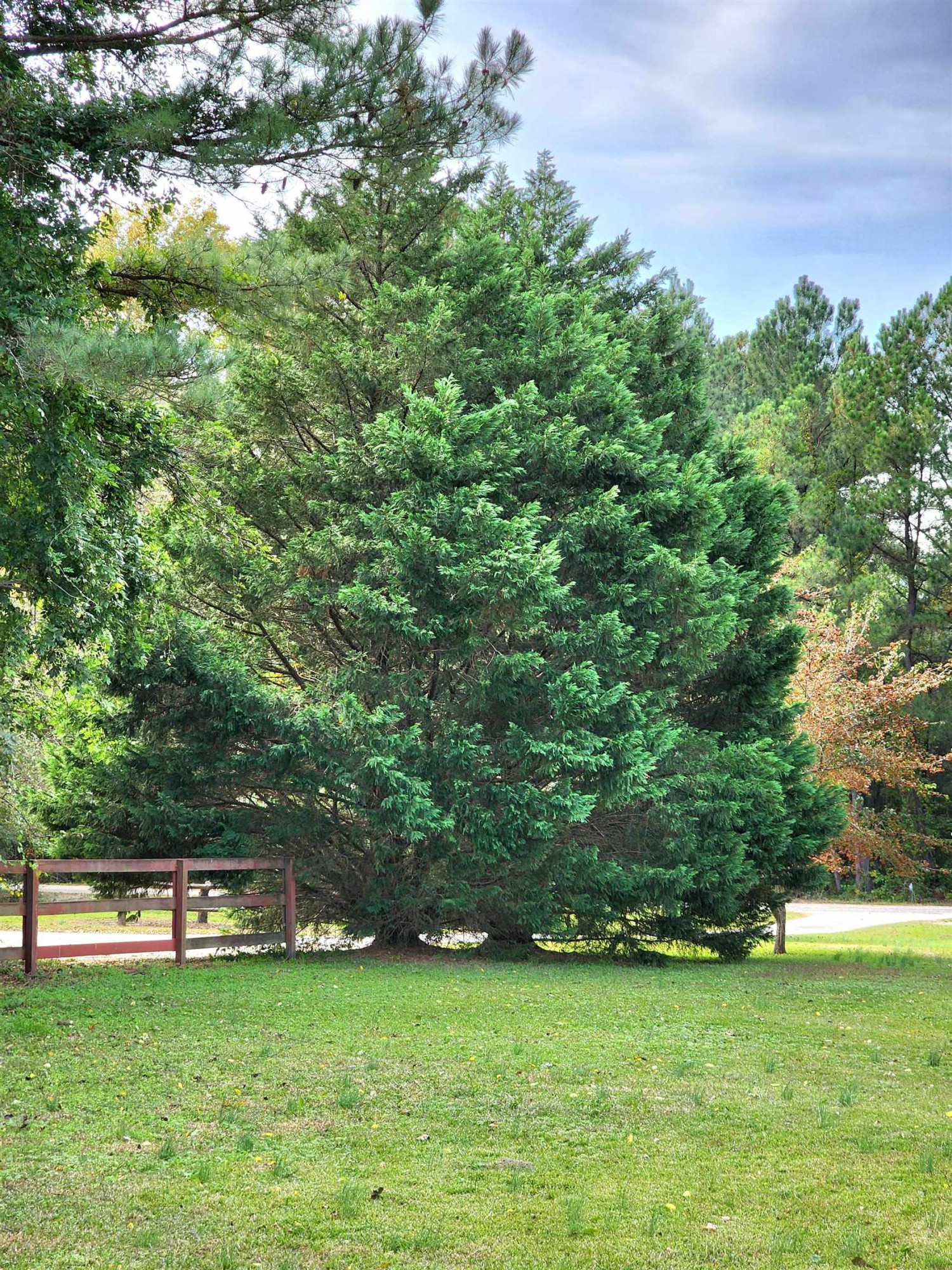 8333 Creek Road Willow Spring, NC 27592 - Photo 47 of 58 Photo 47
