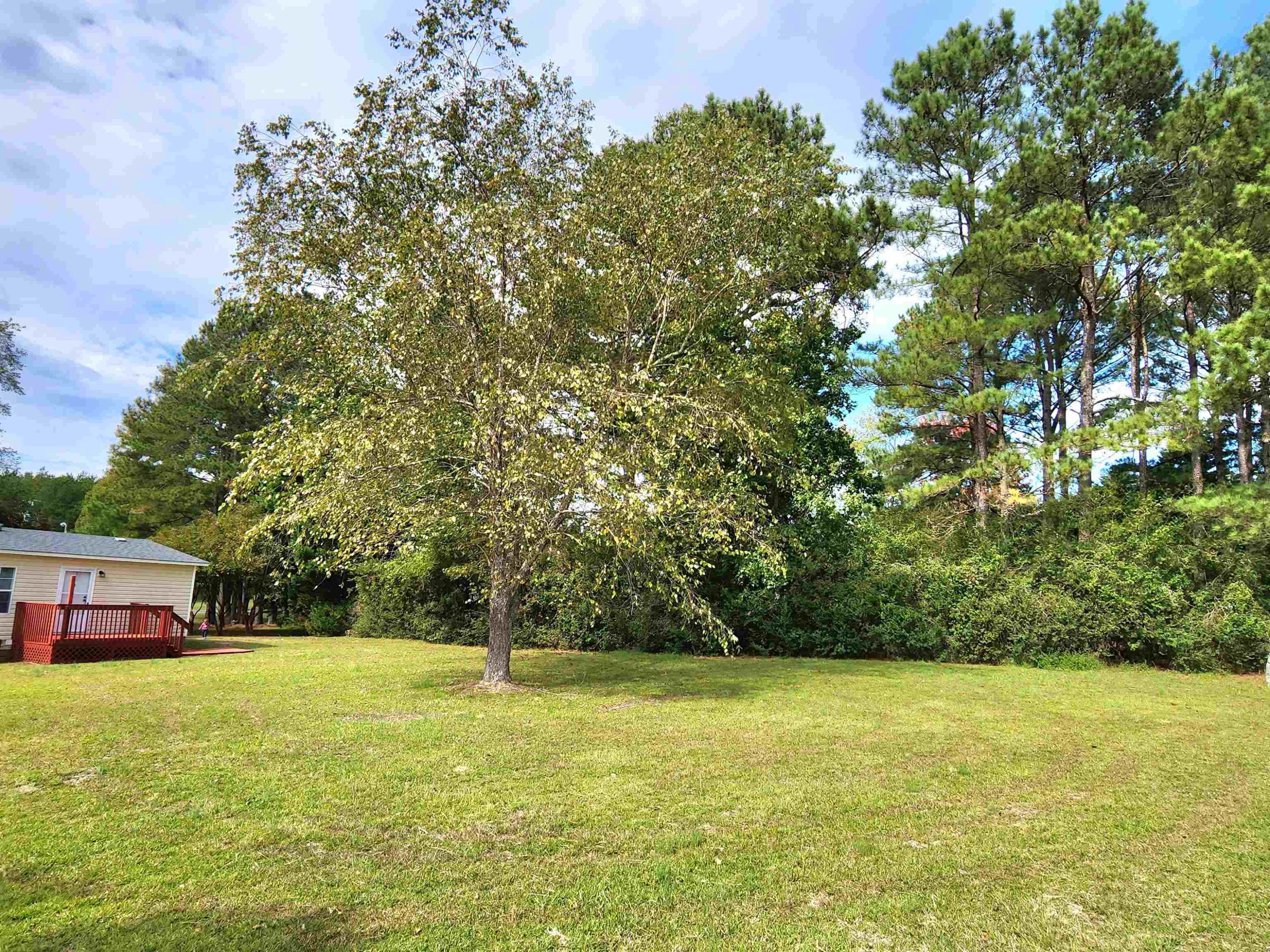 8333 Creek Road Willow Spring, NC 27592 - Photo 51 of 58 a front view of a house with a yard
