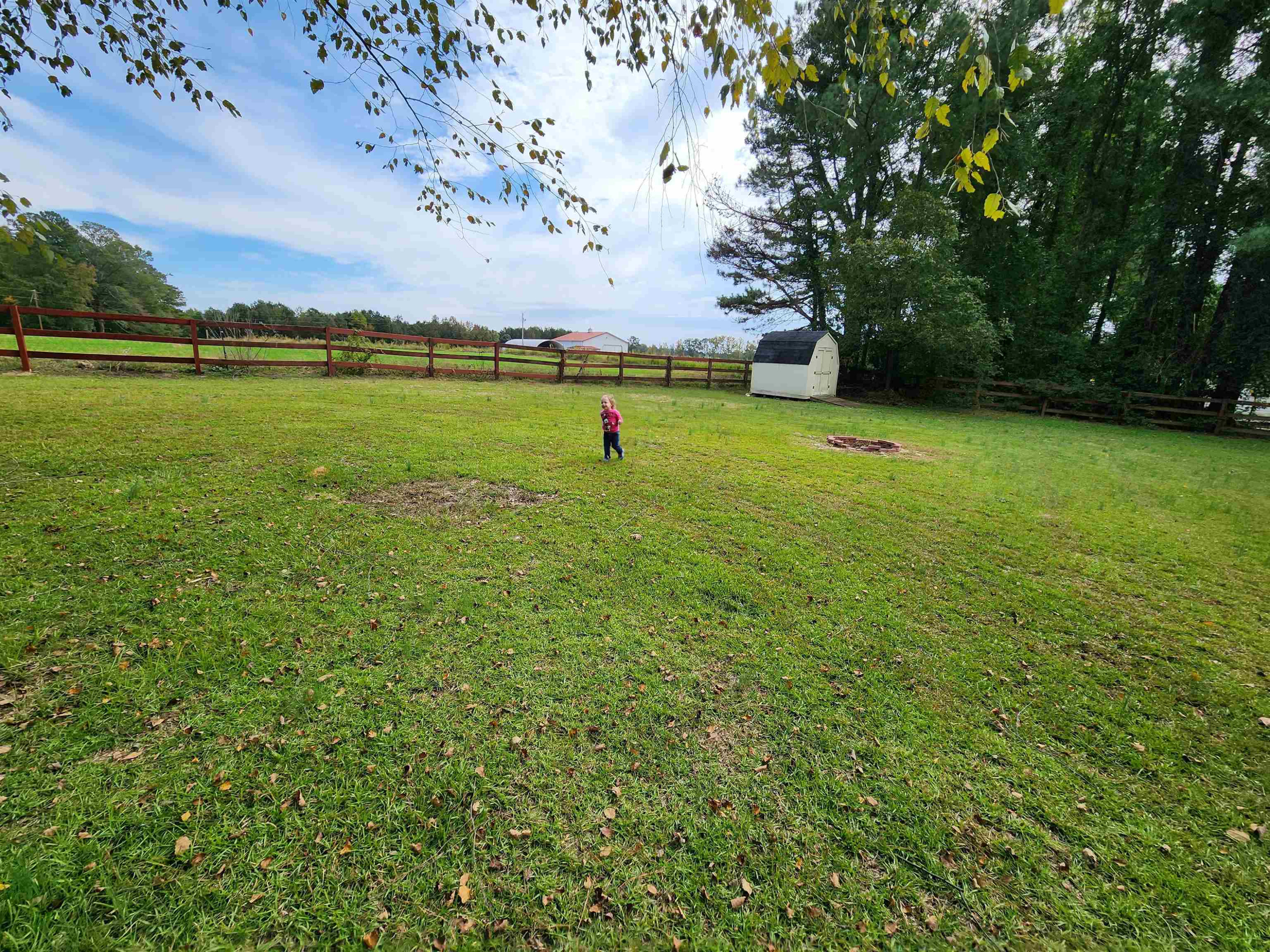8333 Creek Road Willow Spring, NC 27592 - Photo 53 of 58 a view of a patio with a big yard