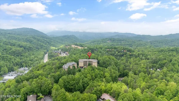 a view of a city with lush green forest