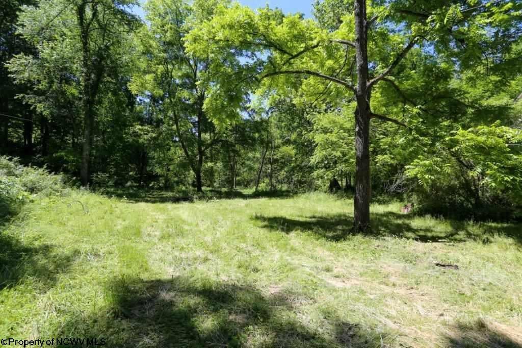 14644 Dry Fork Road Red Creek, WV 26289 - Photo 21 of 22 Gallery Image 21