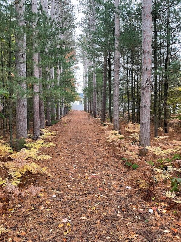 2456 Eagle Ridge Muskegon, MI 49444 - Photo 29 of 32 IMG_6585