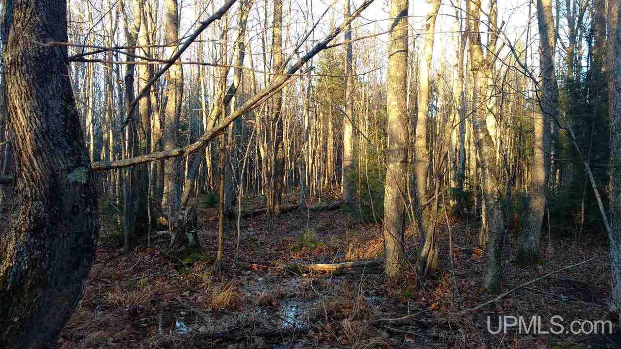 Tbd North Road Toivola, MI 49965 - Photo 13 of 13 Gallery Image 13