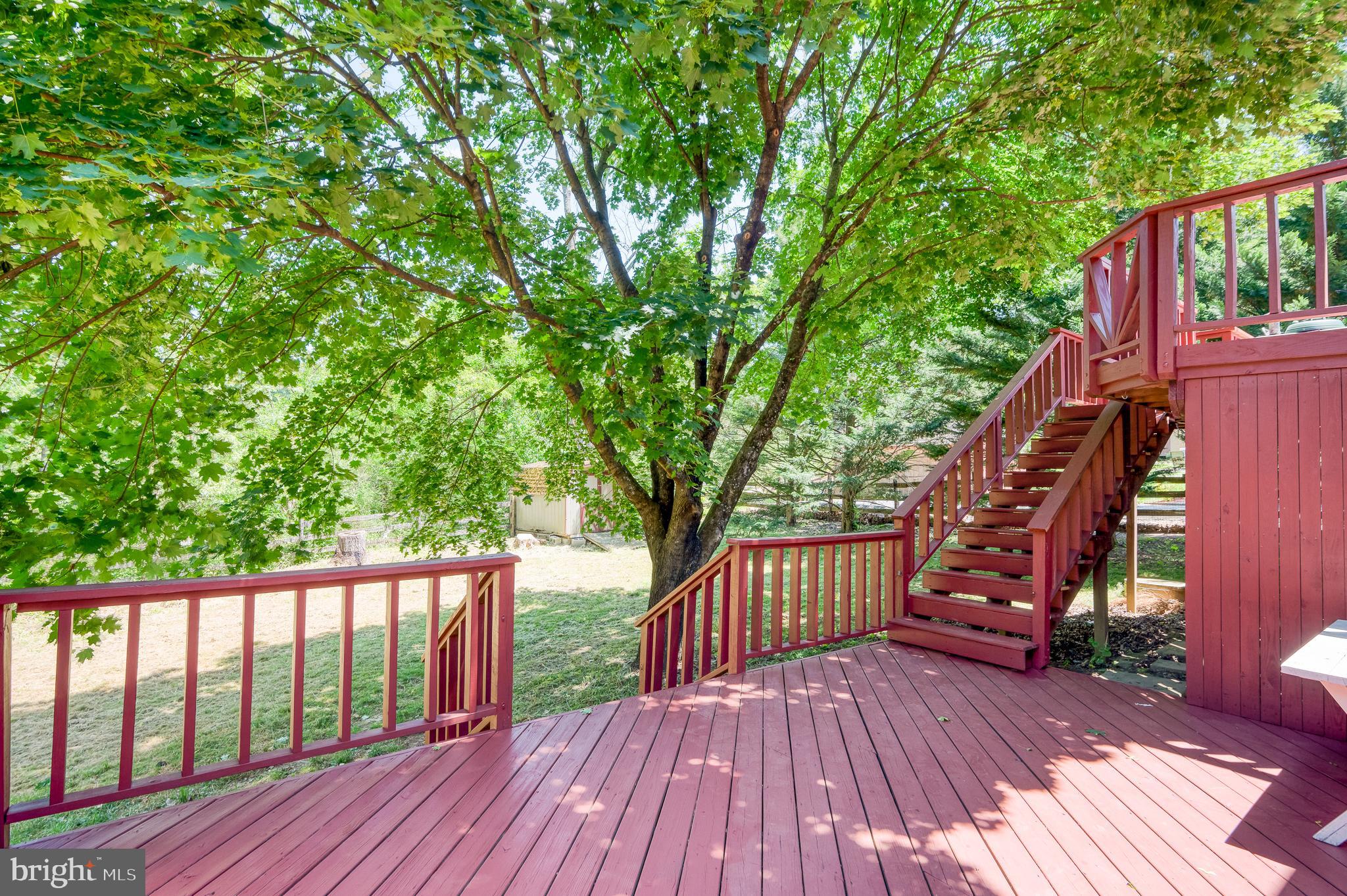 323 Cree Terrace Rising Sun, MD 21911 - Photo 14 of 20