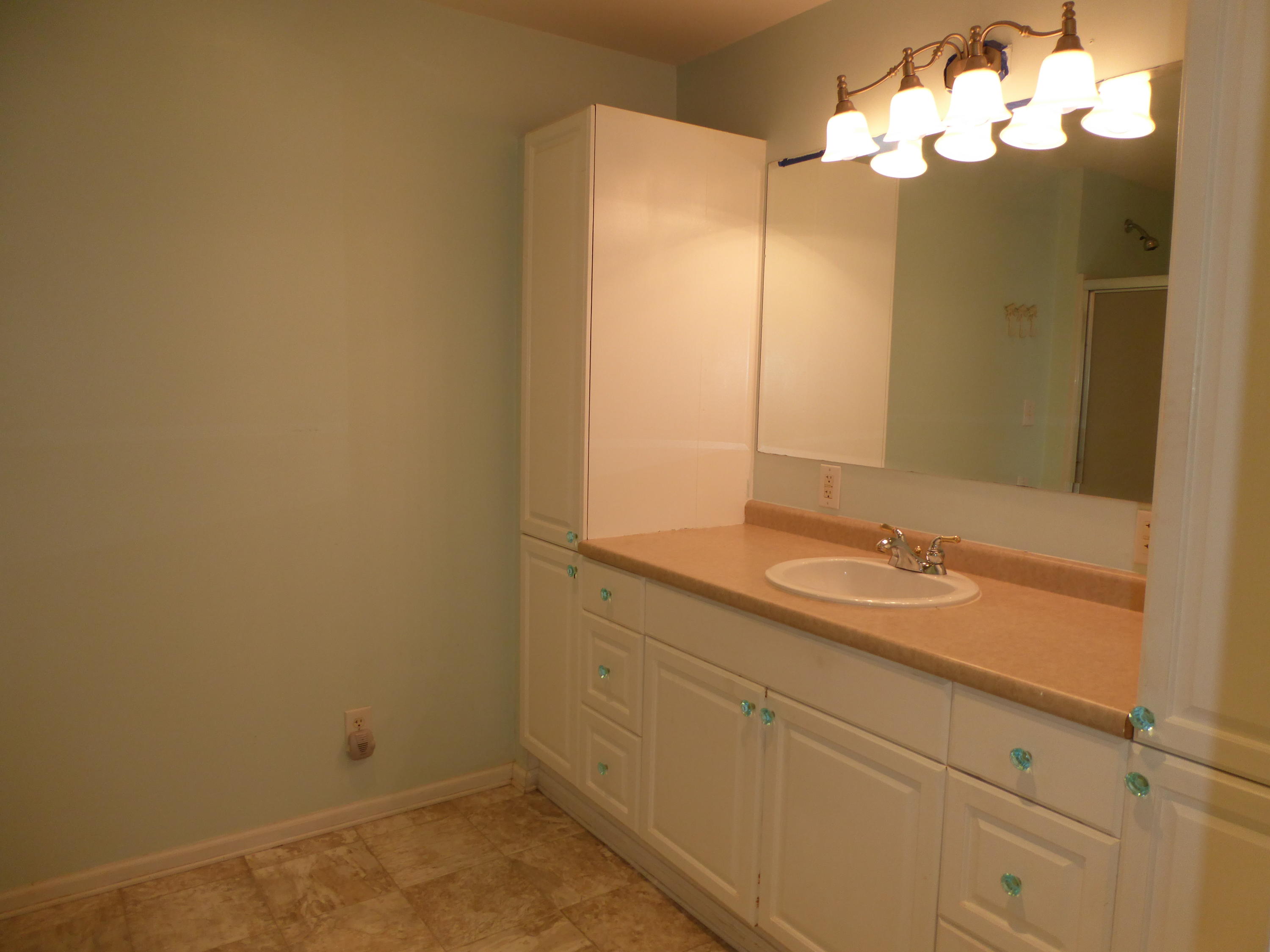 810 Scuffling Hill Road Rocky Mount, VA 24151 - Photo 13 of 52 a bathroom with a sink and a mirror