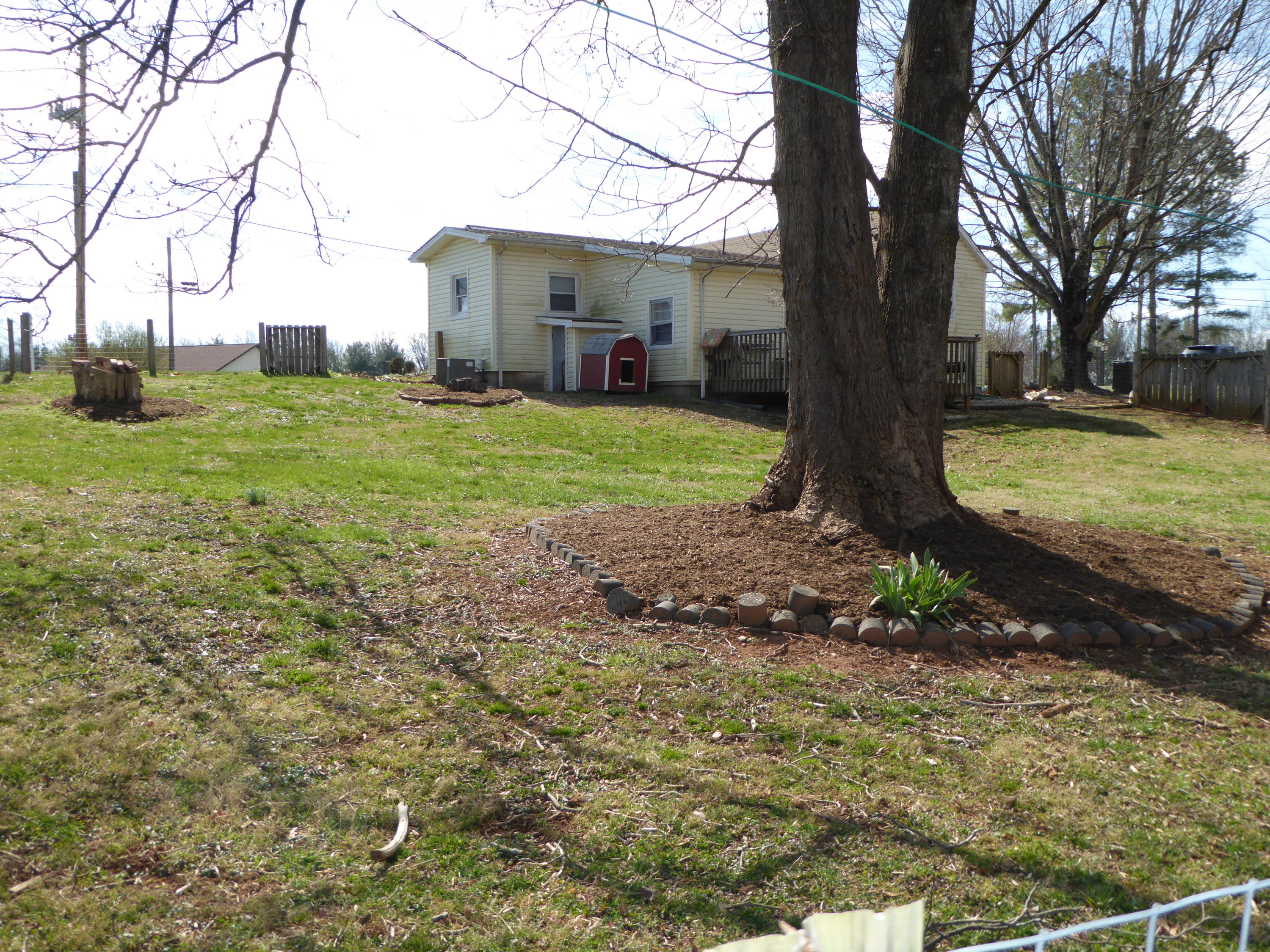 810 Scuffling Hill Road Rocky Mount, VA 24151 - Photo 19 of 52 a view of a yard with plants and a large tree