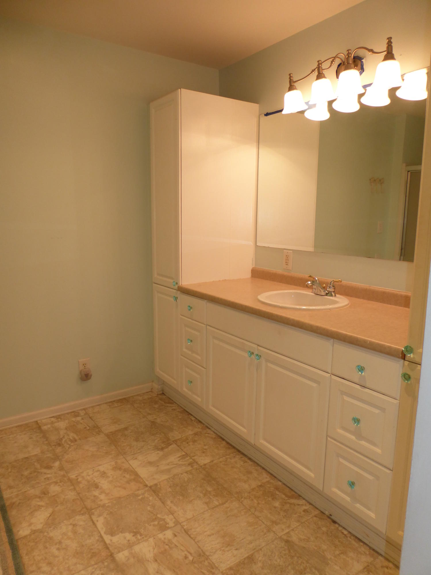 810 Scuffling Hill Road Rocky Mount, VA 24151 - Photo 44 of 52 a bathroom with a sink and a mirror