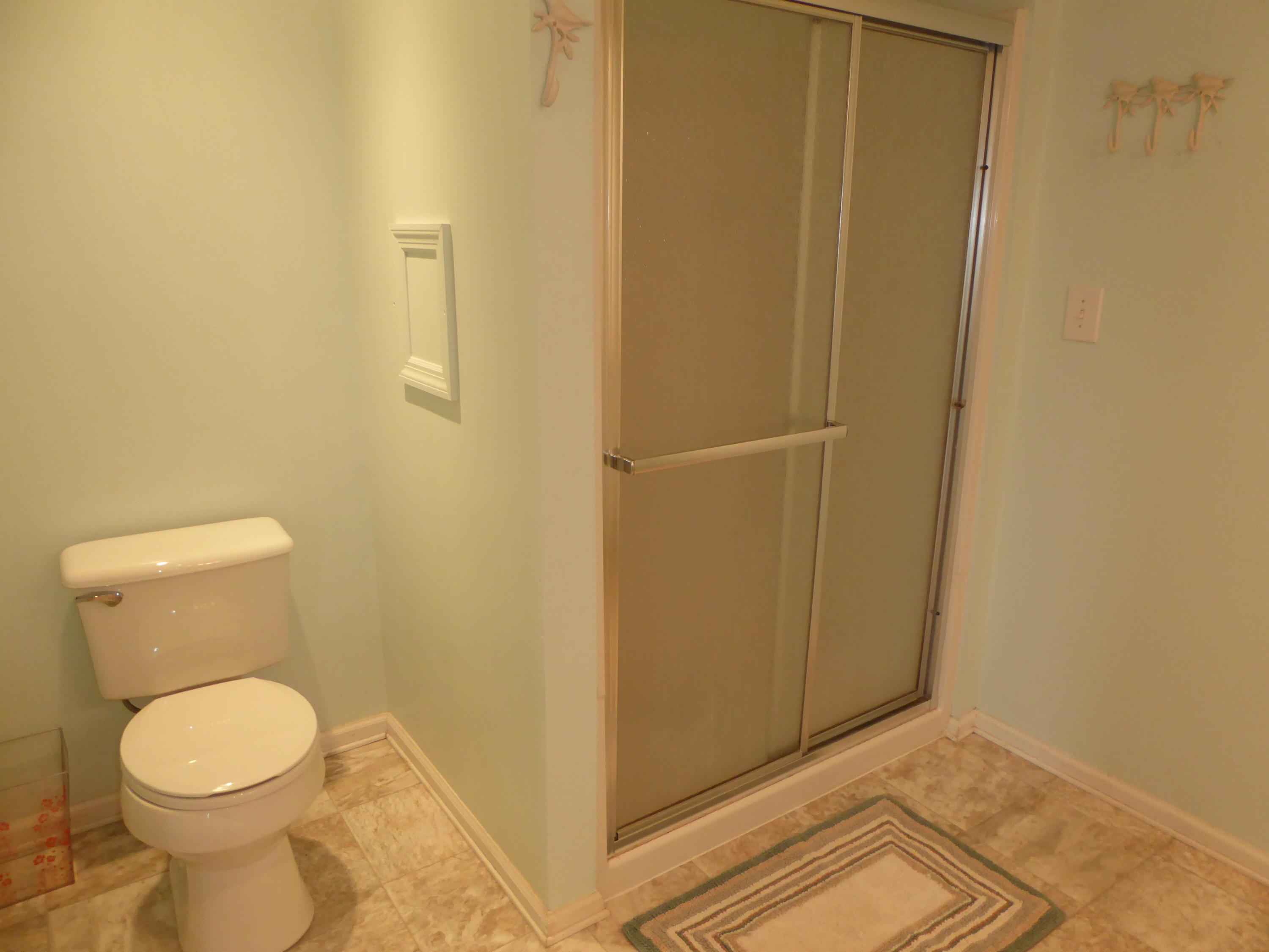 810 Scuffling Hill Road Rocky Mount, VA 24151 - Photo 45 of 52 a bathroom with a white toilet and a shower