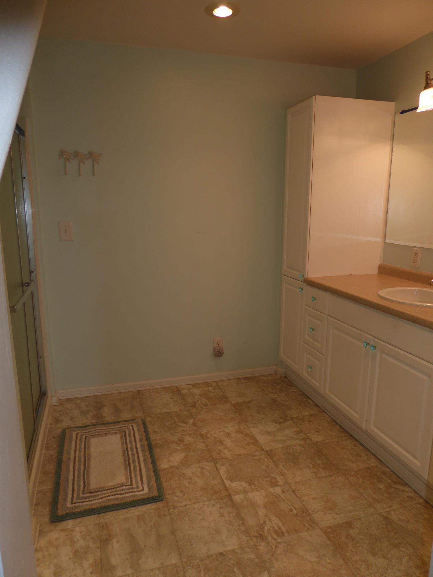 810 Scuffling Hill Road Rocky Mount, VA 24151 - Photo 46 of 52 52 Master Bath