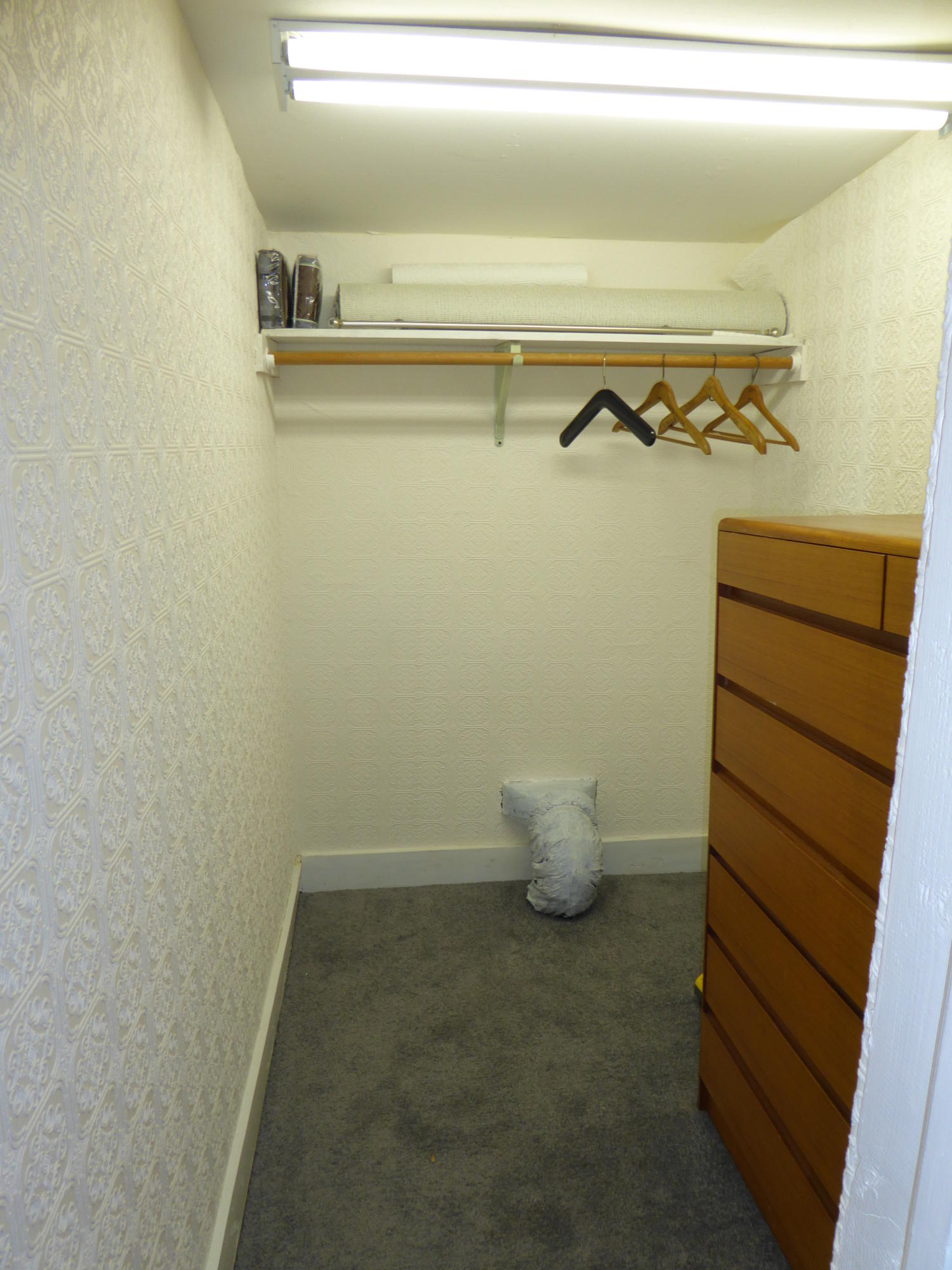 810 Scuffling Hill Road Rocky Mount, VA 24151 - Photo 49 of 52 a close view of walk in closet