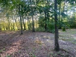a view of outdoor space and green space