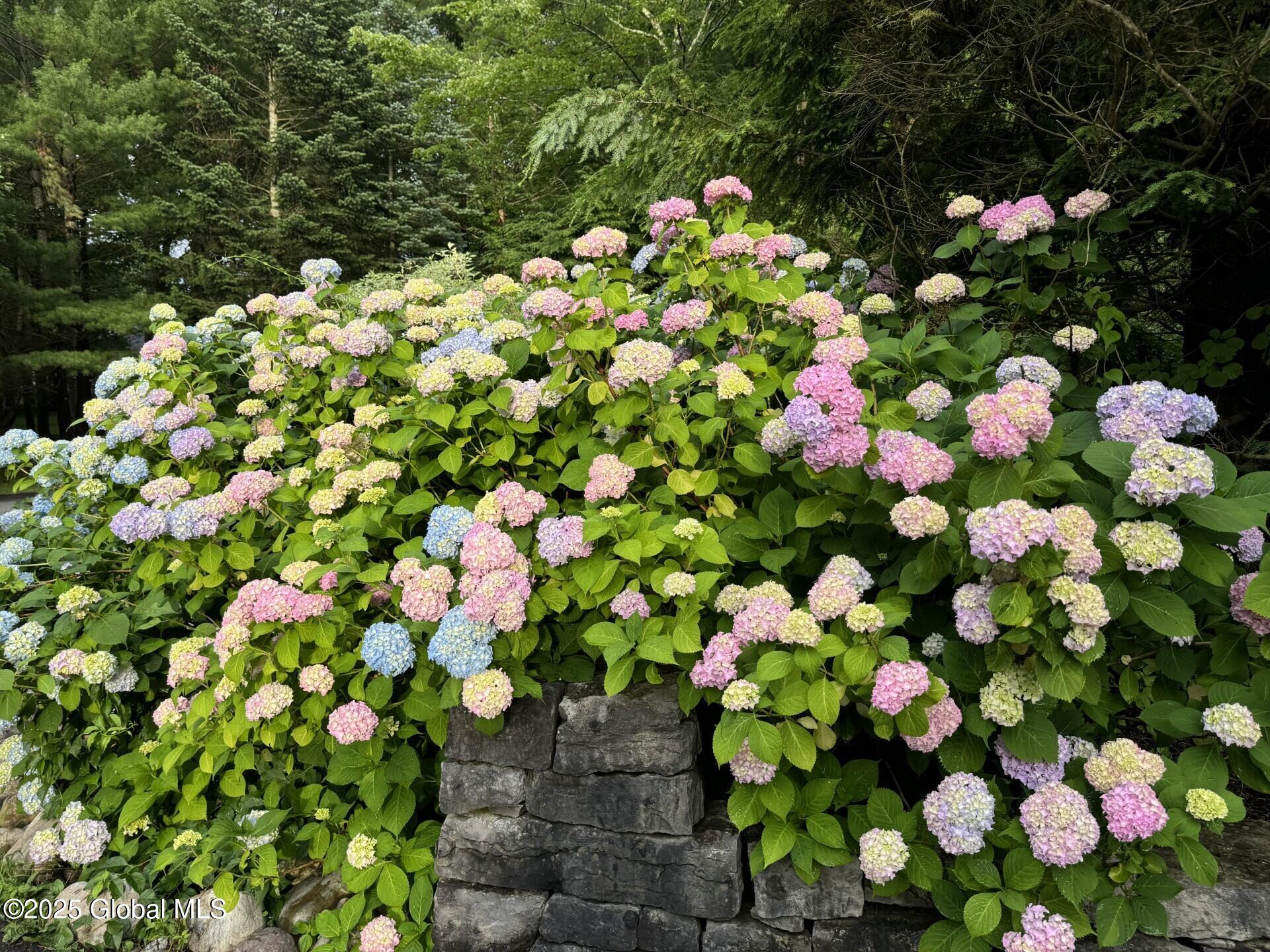 261 Bender Lane Bethlehem, NY 12077 - Photo 84 of 84 thumbnail_IMG_8664