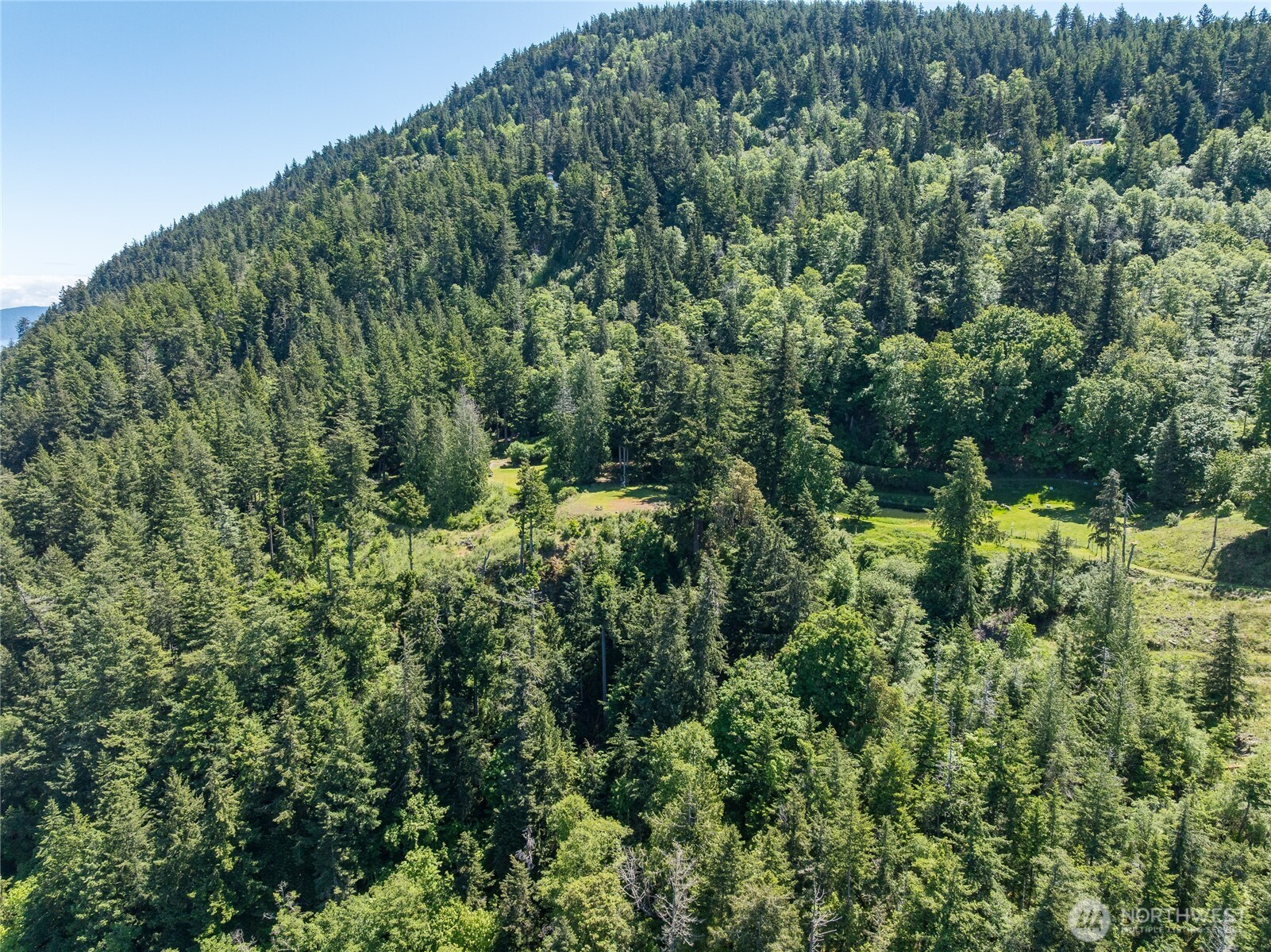 463 Wright Road Orcas Island, WA 98245 - Photo 28 of 40 an aerial view of residential house with outdoor space and trees all around