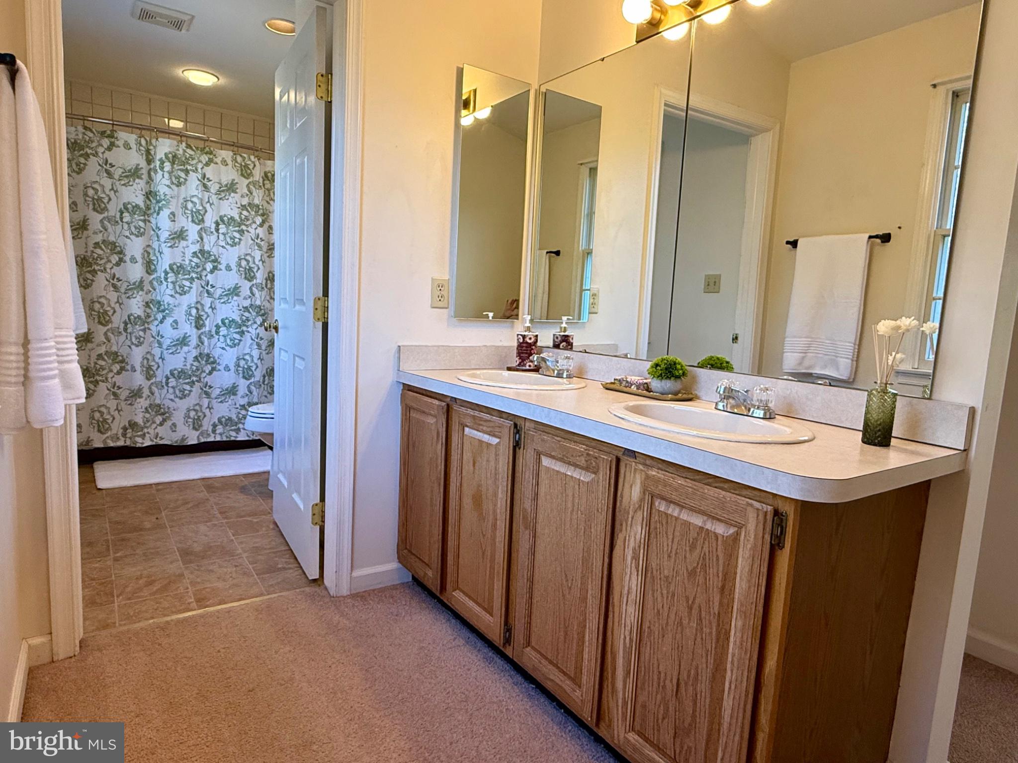 805 Butts Mill Road Hedgesville, WV 25427 - Photo 23 of 48 Primary bath