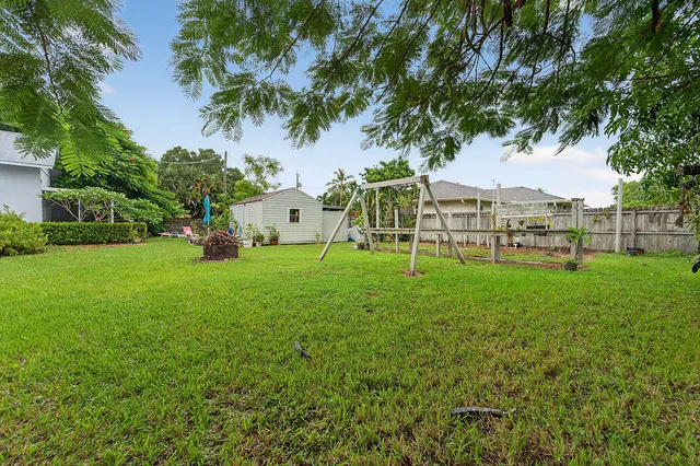 a view of a park with a tree