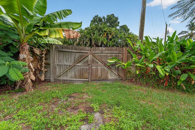 a view of a backyard
