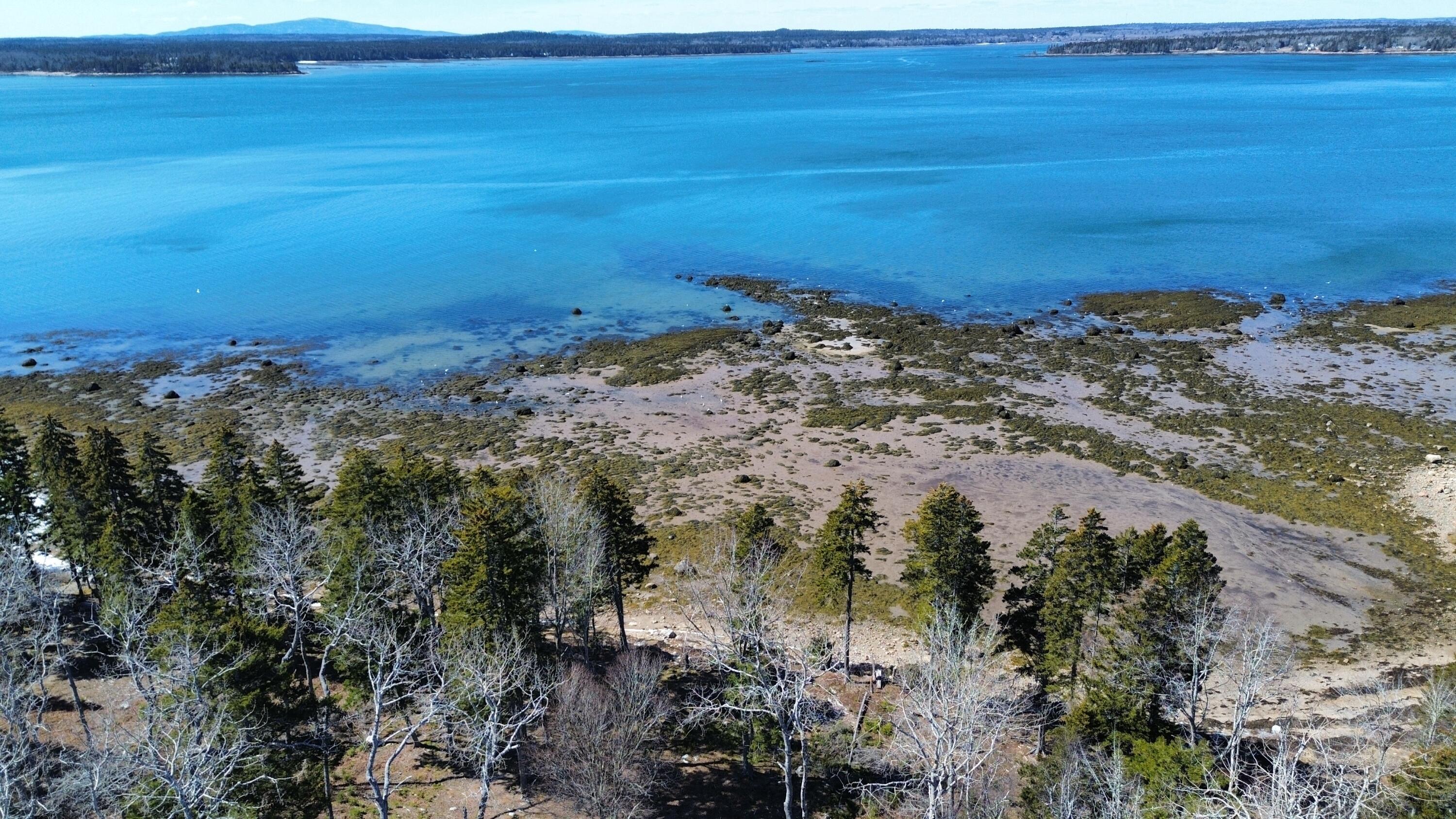 dji_fly_20260328_121940_33_1774717706451