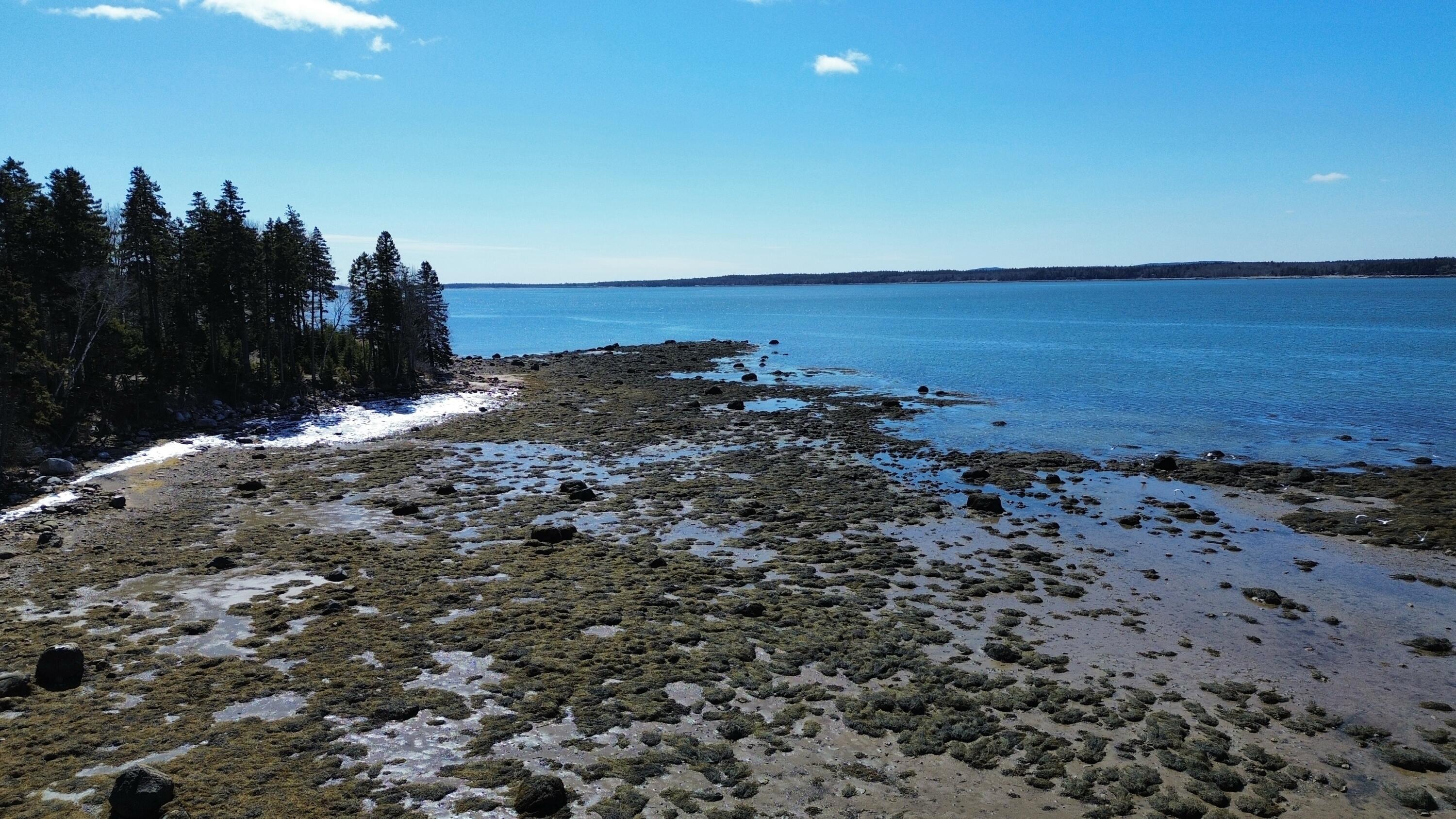 216 South Estates Road Steuben, ME 04680 - Photo 11 of 15 dji_fly_20260328_122718_38_1774717689779