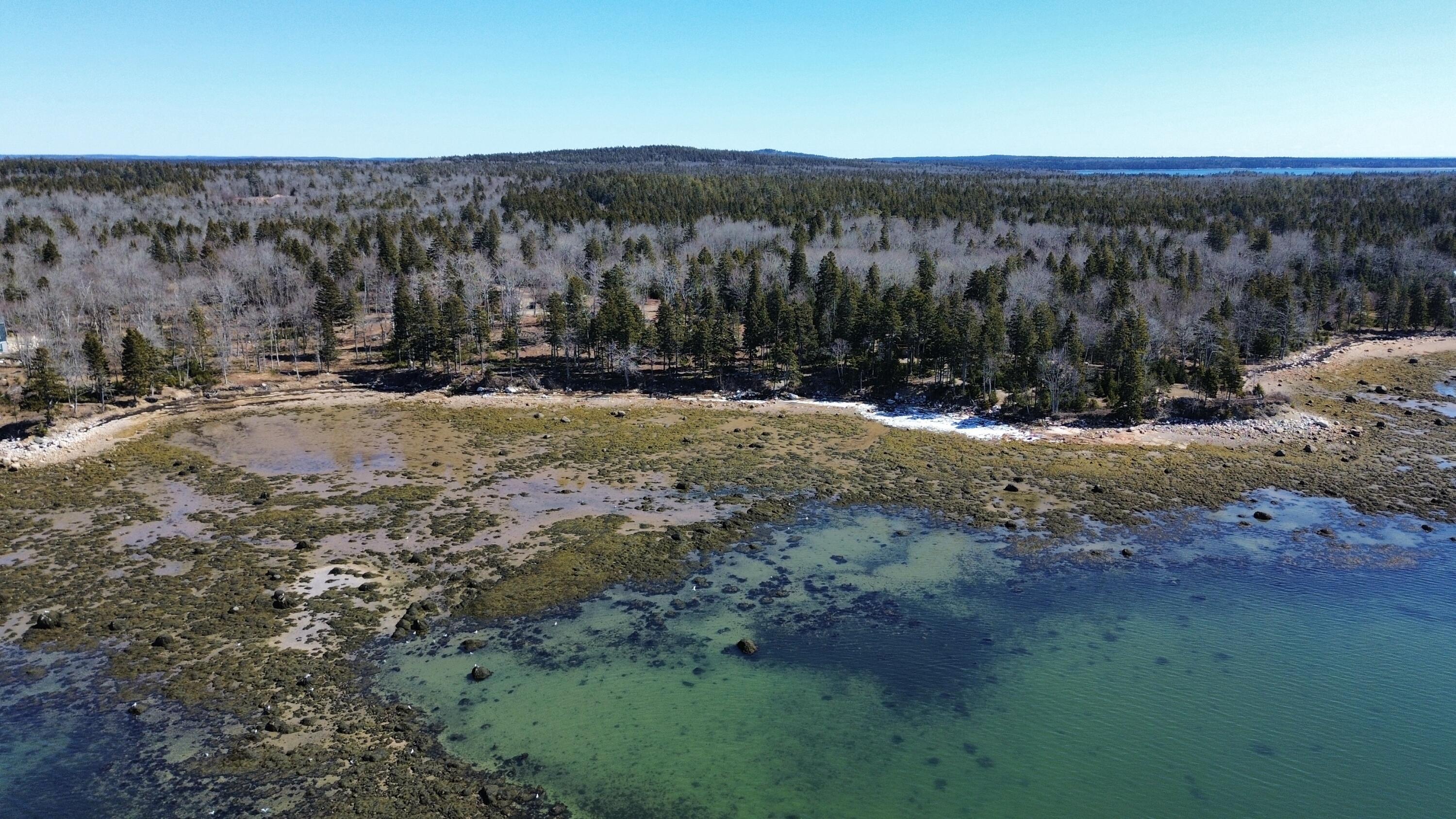 216 South Estates Road Steuben, ME 04680 - Photo 3 of 15 dji_fly_20260328_122118_36_1774717704882
