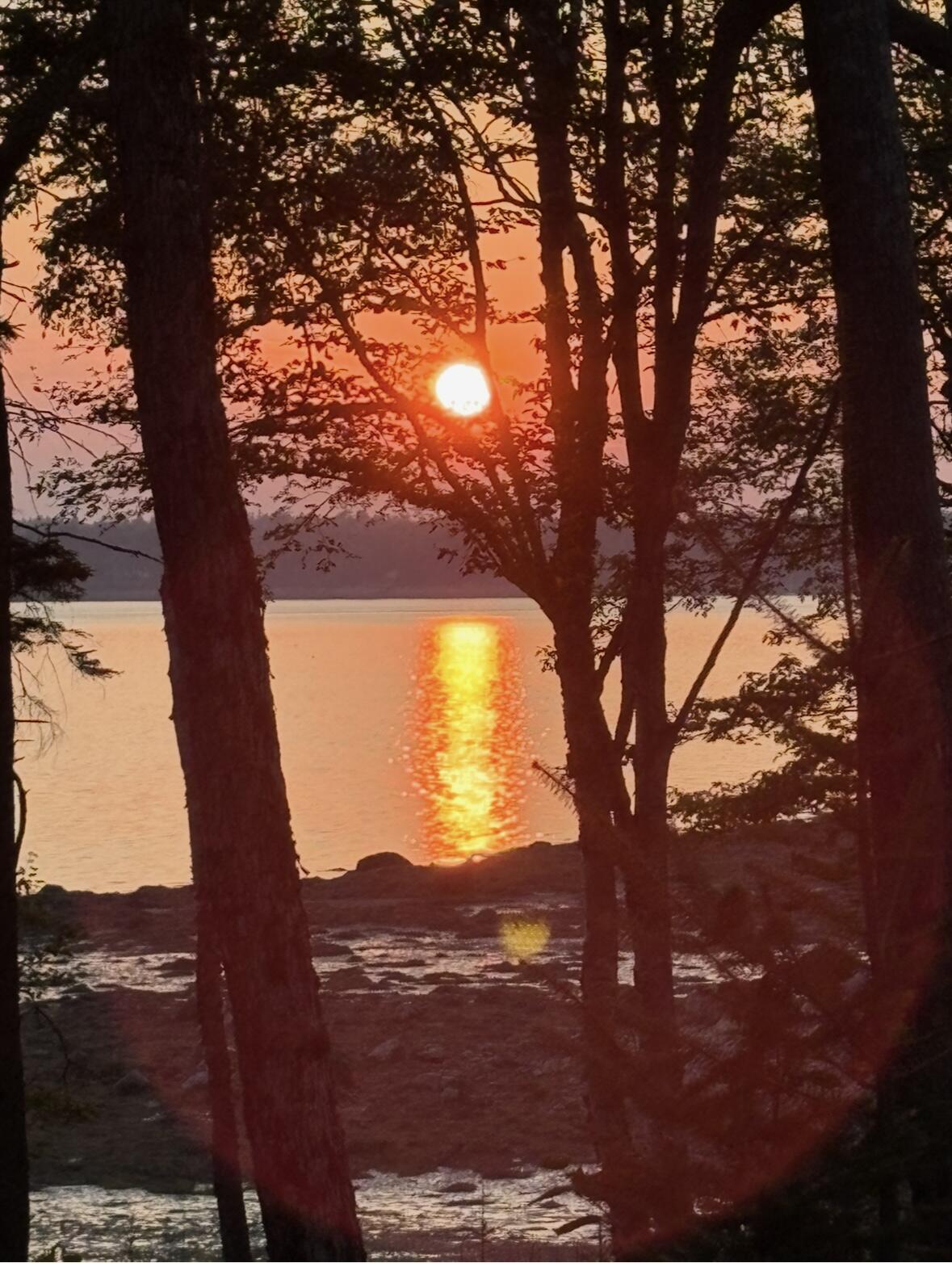 216 South Estates Road Steuben, ME 04680 - Photo 7 of 15 IMG_8933