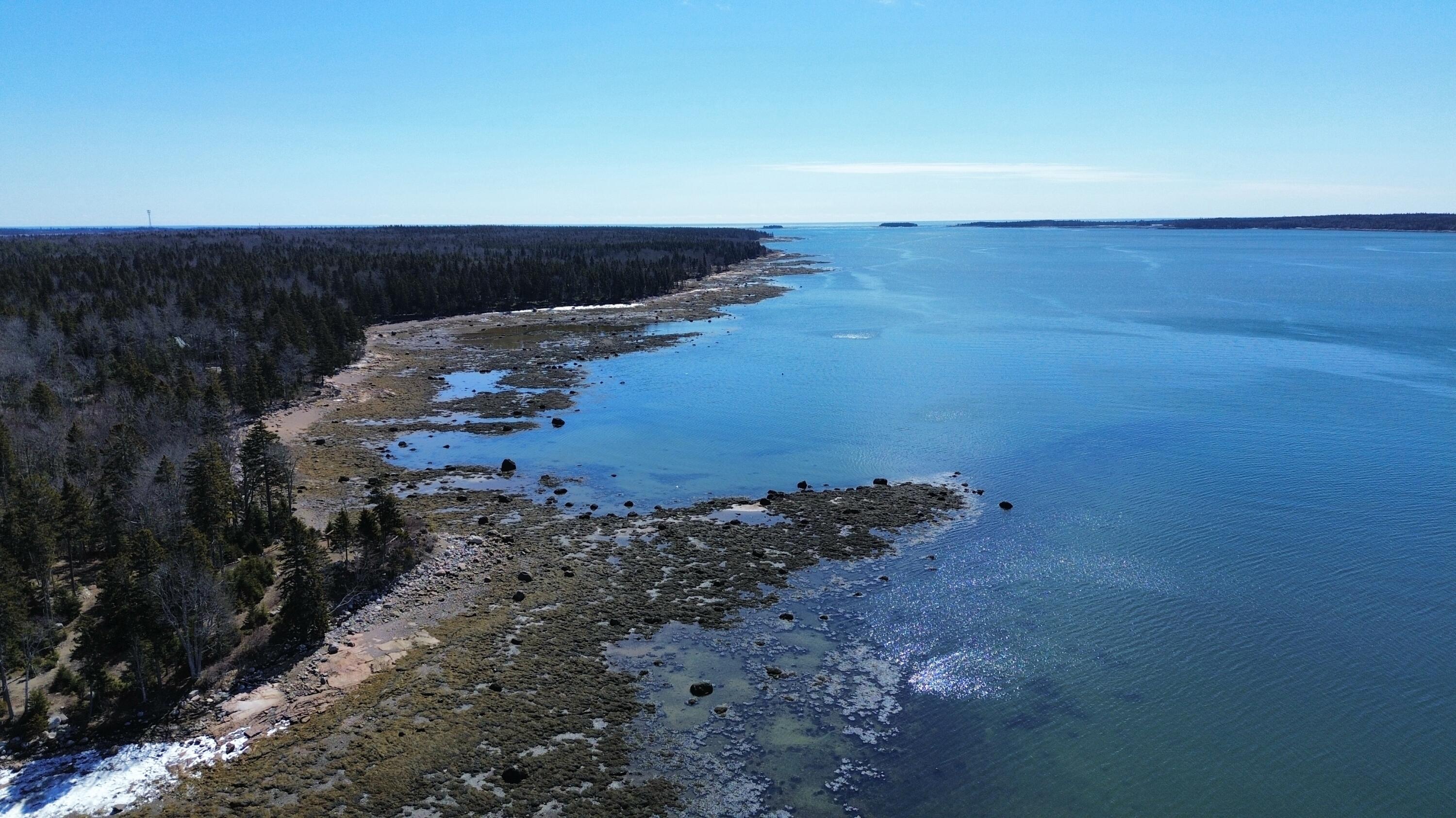 216 South Estates Road Steuben, ME 04680 - Photo 10 of 15 dji_fly_20260328_122030_34_1774717706112