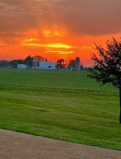 7250 Maplewood Road Cologne, MN 55322 - Photo 7 of 44