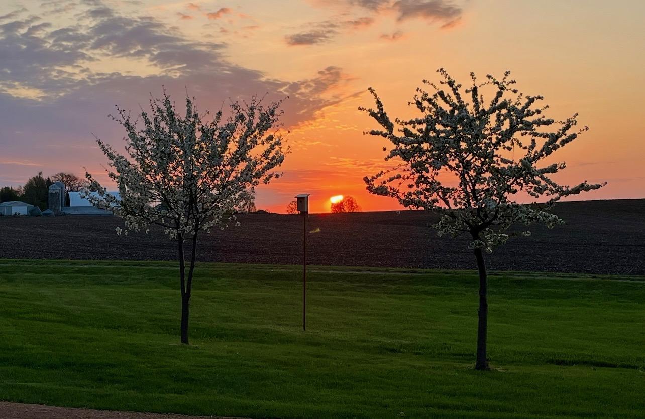 7250 Maplewood Road Cologne, MN 55322 - Photo 8 of 44