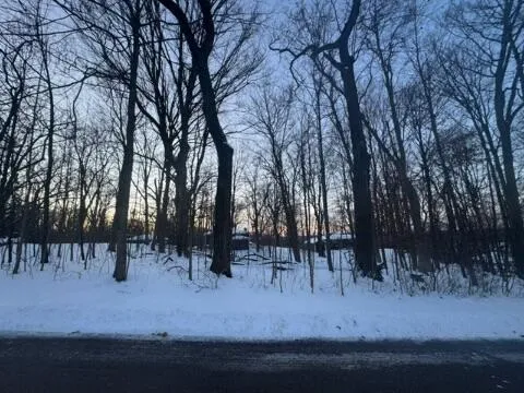 $80,000 | Lt17 Forest Drive, Unit LT18, Geneva, WI 53147