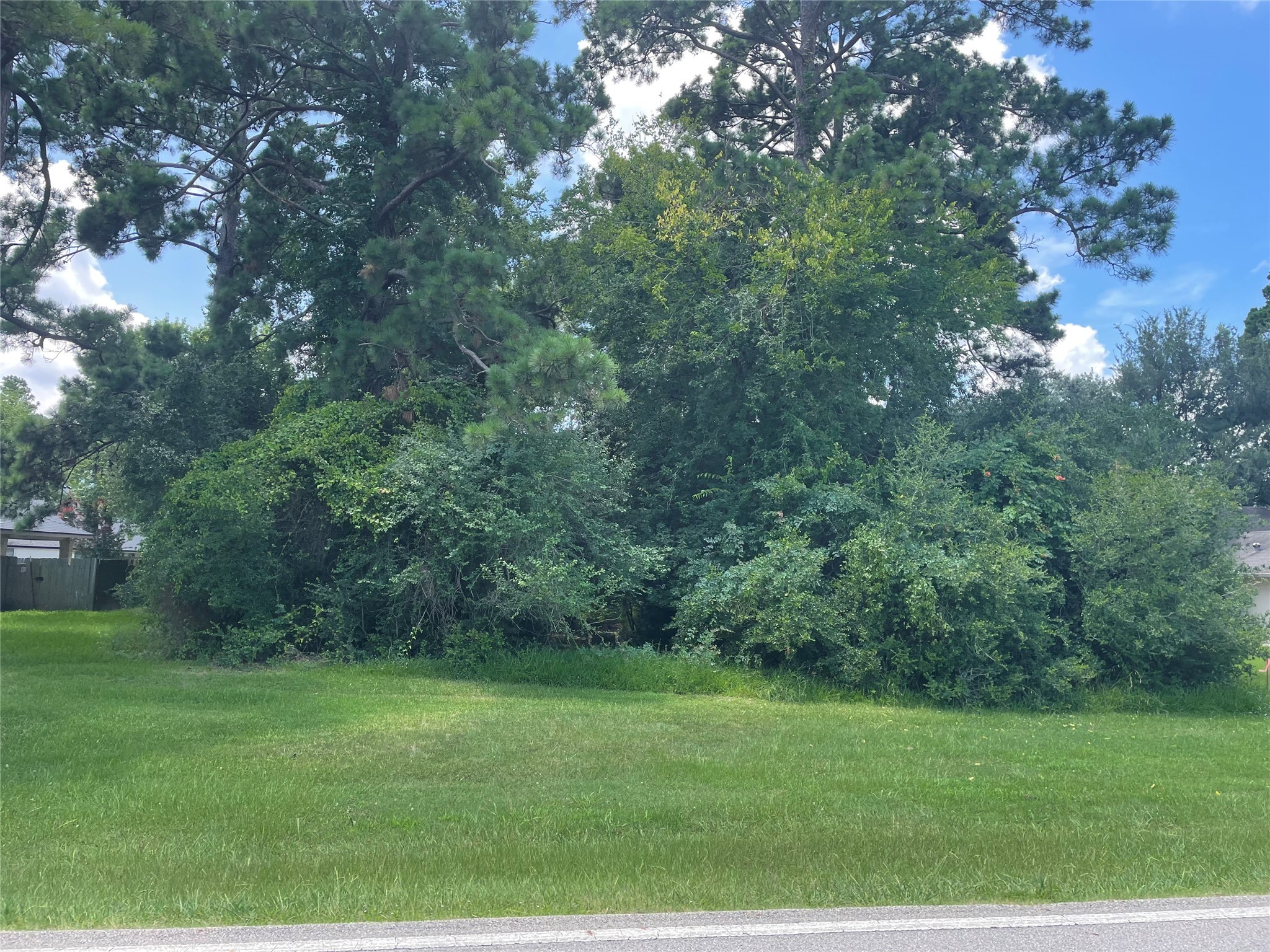 12123 Walden Road Montgomery, TX 77356 - Photo 2 of 32 a big yard with lots of green space