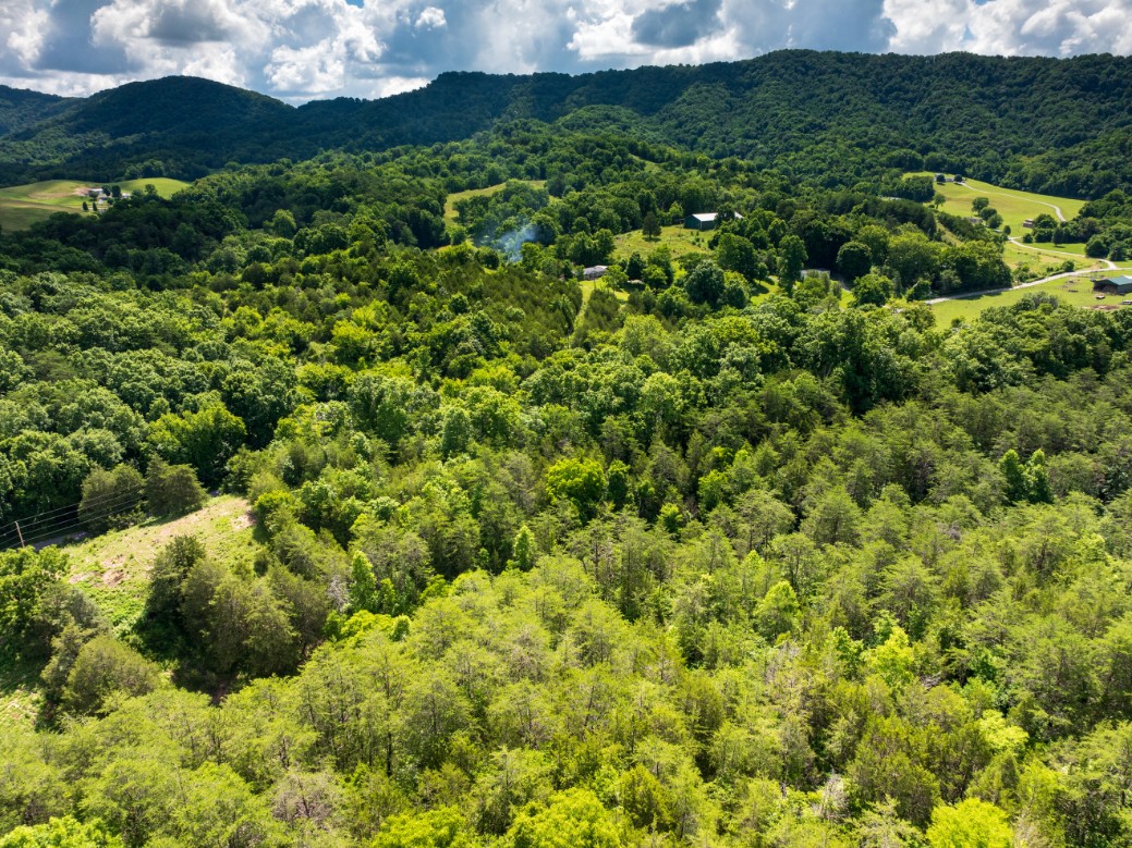 0 Round Barn Road Powder Springs, TN 37848 - Photo 27 of 40
