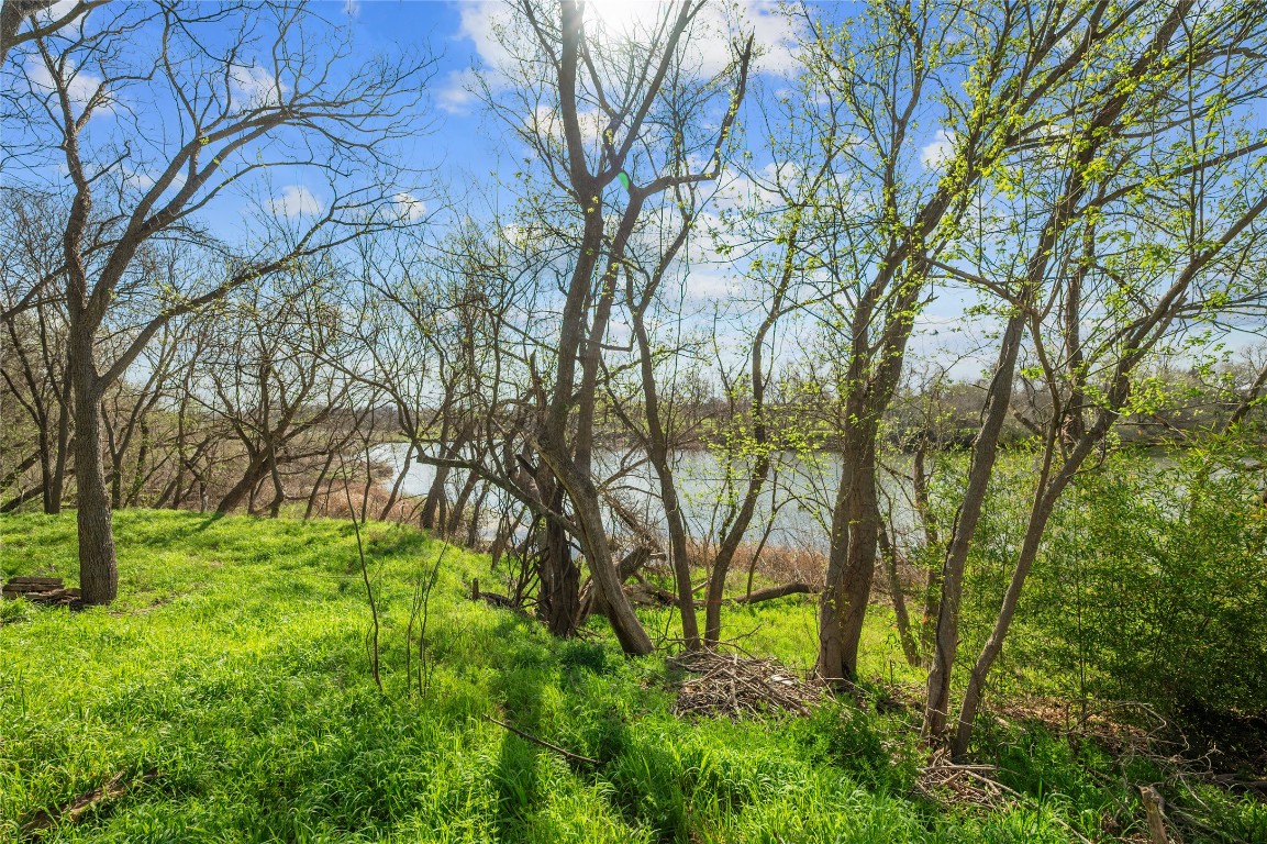 7705 Shelton Road Austin, TX 78725 - Photo 7 of 23 a backyard of a house with lots of green space