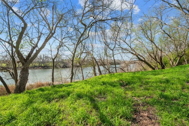 a view of backyard with green space