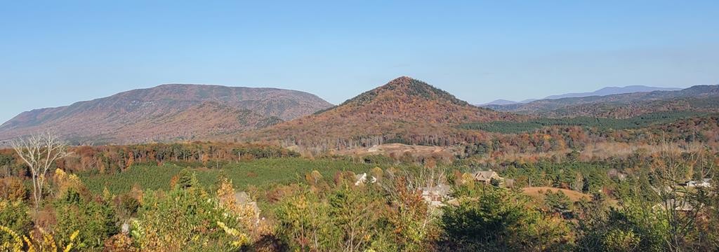 169 Bob White Road Ocoee, TN 37361 - Photo 19 of 20 Gallery Image 19