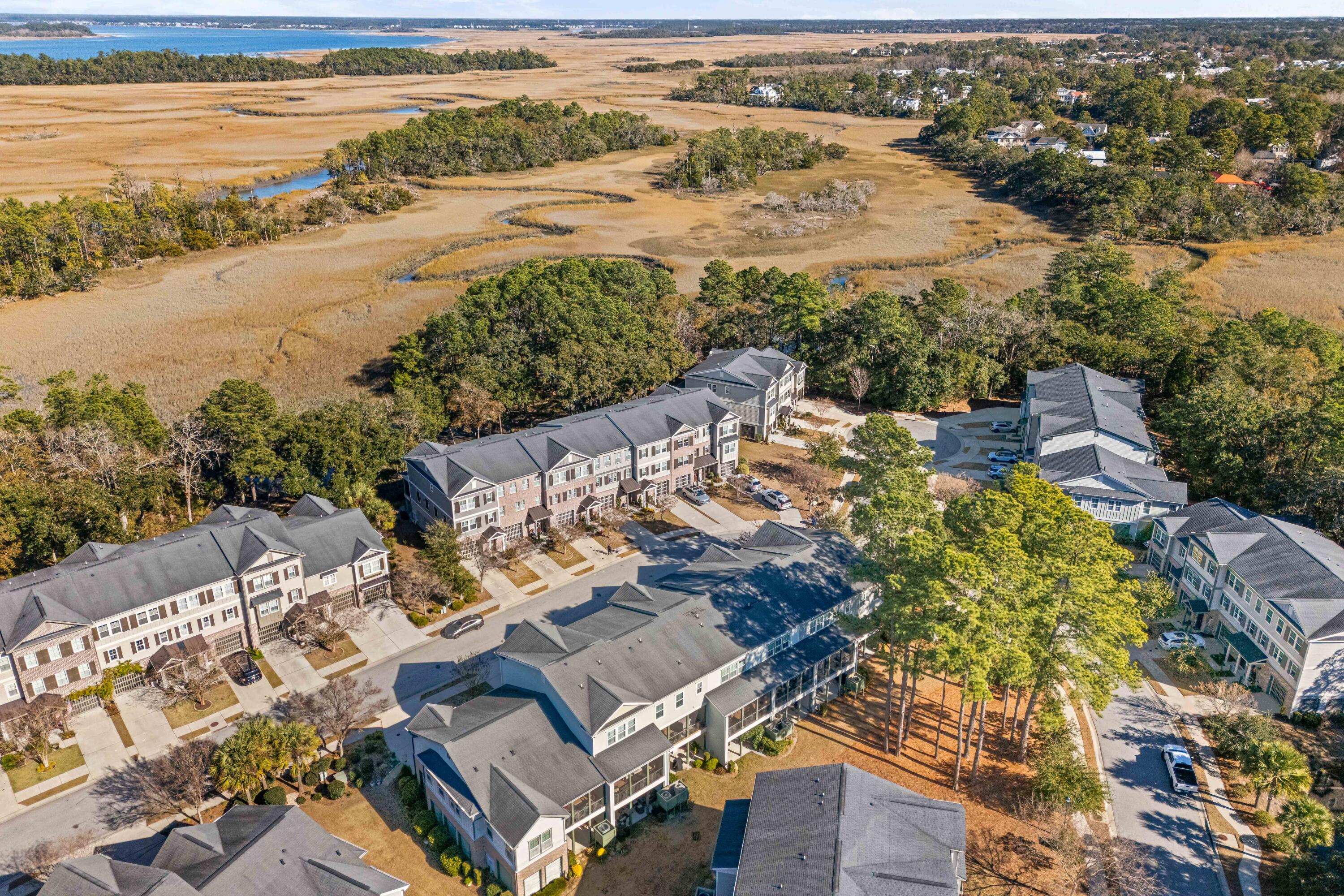 172 Slipper Shell Court Mount Pleasant, SC 29464 - Photo 33 of 33 172-Slipper-Shell-33