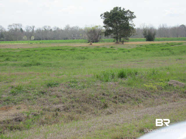 0 South Friendship Road South Daphne, AL 36526 - Photo 4 of 5 Commercial Lots