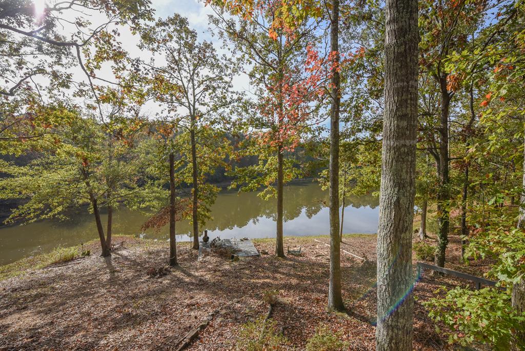 112 Cold Bottom Troy, SC 29848 - Photo 5 of 28