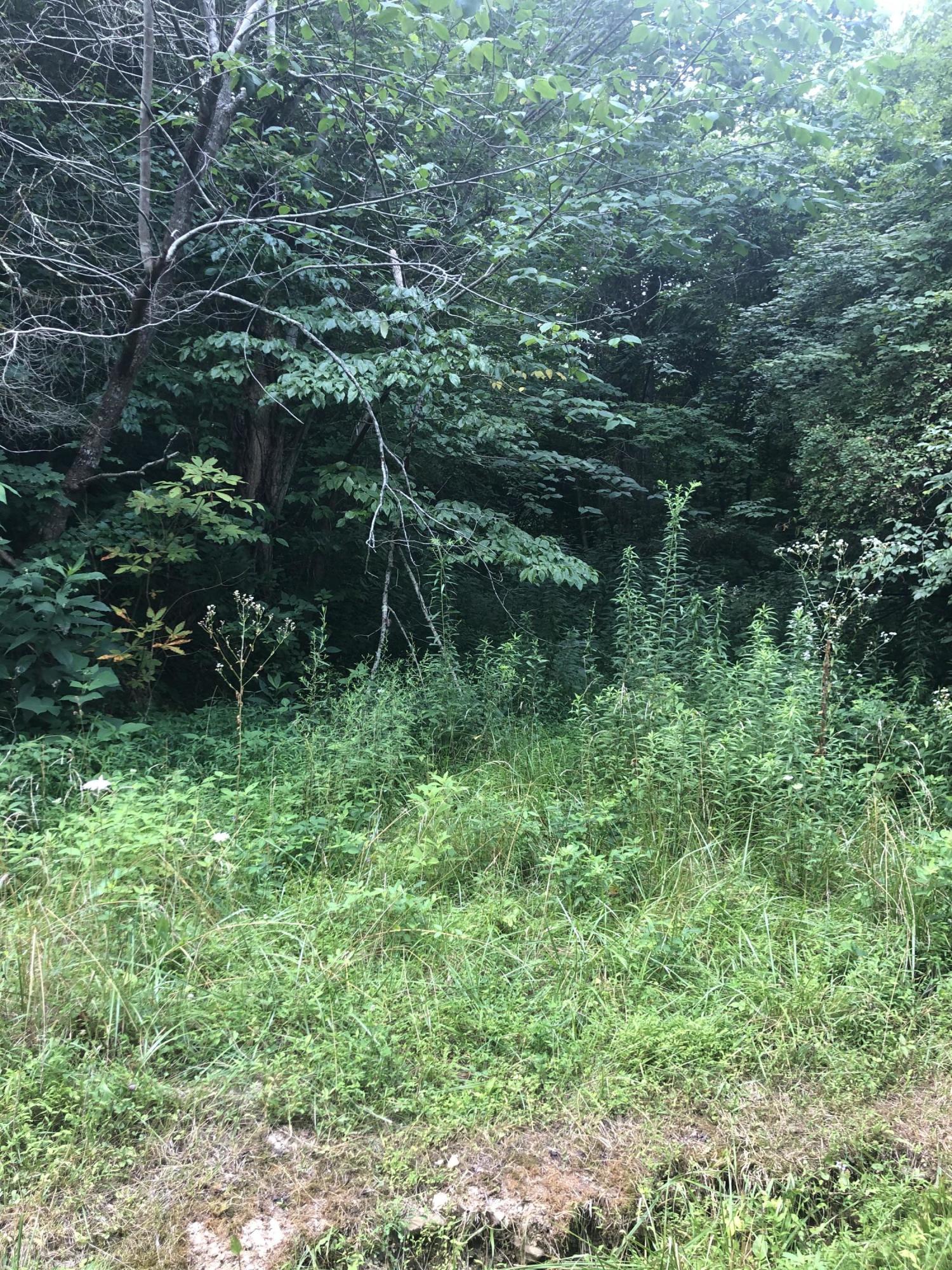 70 acres