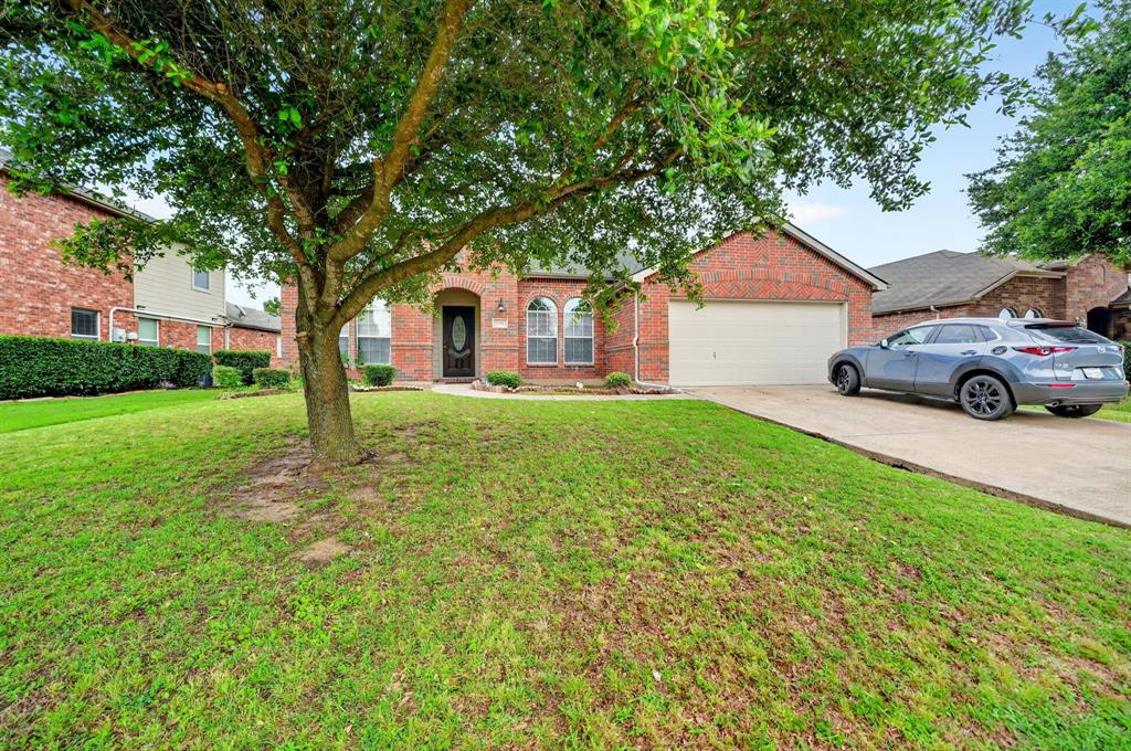 511 Chestnut Trail Forney, TX 75126 - Photo 3 of 32 Brick exterior with an arched entryway, mature front tree, manicured lawn, attached garage, and paved driveway