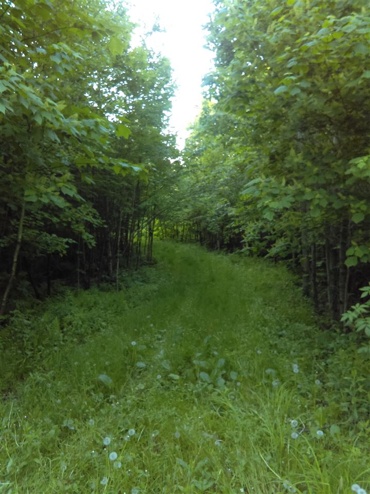 ** Bear Mountain Road Clarksville, NH 03592 - Photo 1 of 8 Gallery Image 1