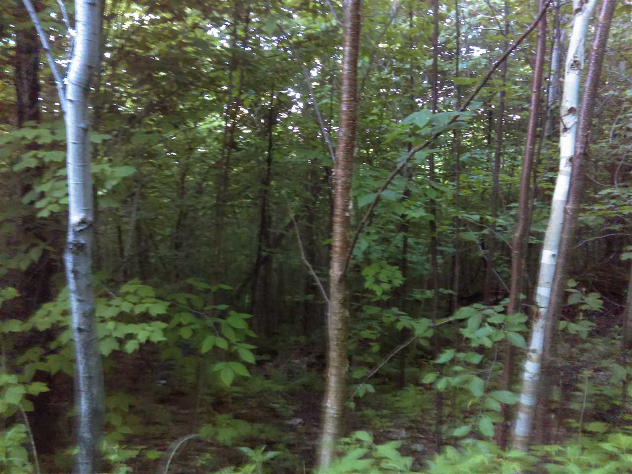 ** Bear Mountain Road Clarksville, NH 03592 - Photo 6 of 8 Gallery Image 6