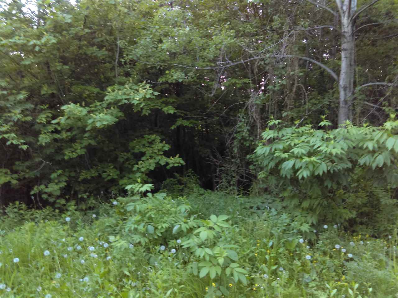 ** Bear Mountain Road Clarksville, NH 03592 - Photo 7 of 8 Gallery Image 7