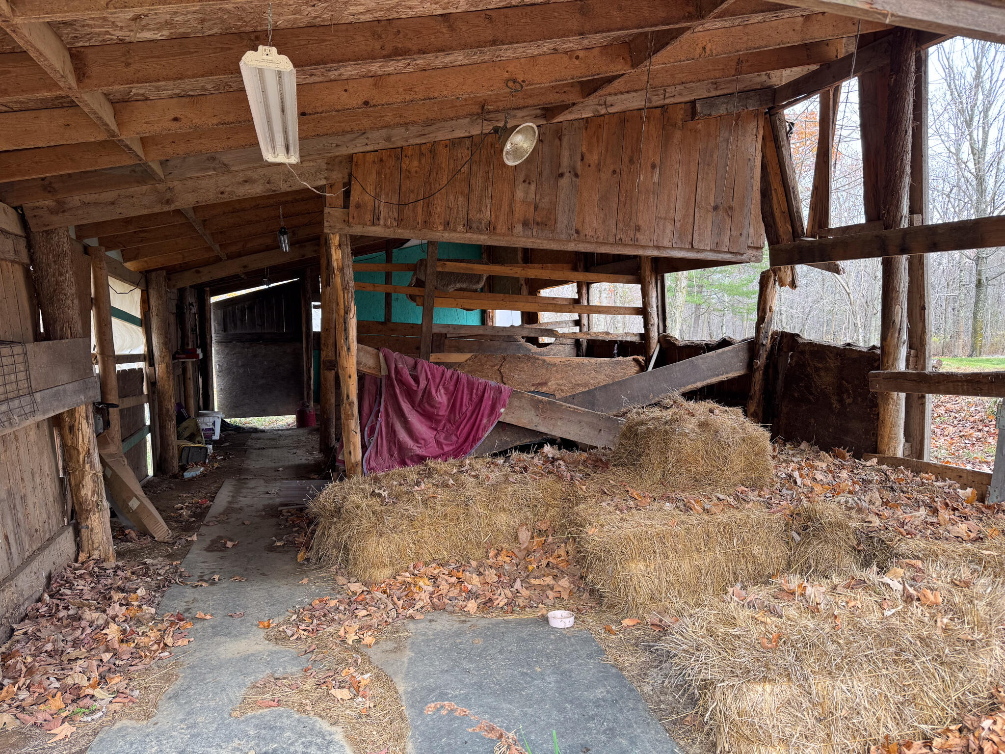 15 Cottrell Road Dixmont, ME 04932 - Photo 14 of 18 IMG_7191