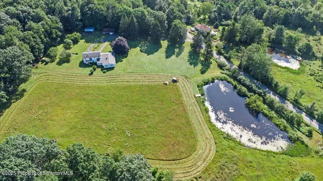 a front view of a house with a yard and green space