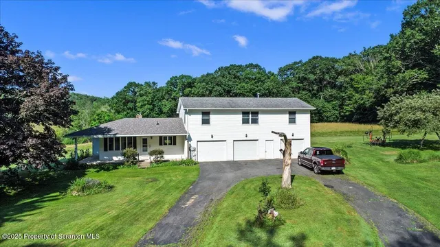 a view of a house with a yard potted plants and large tree