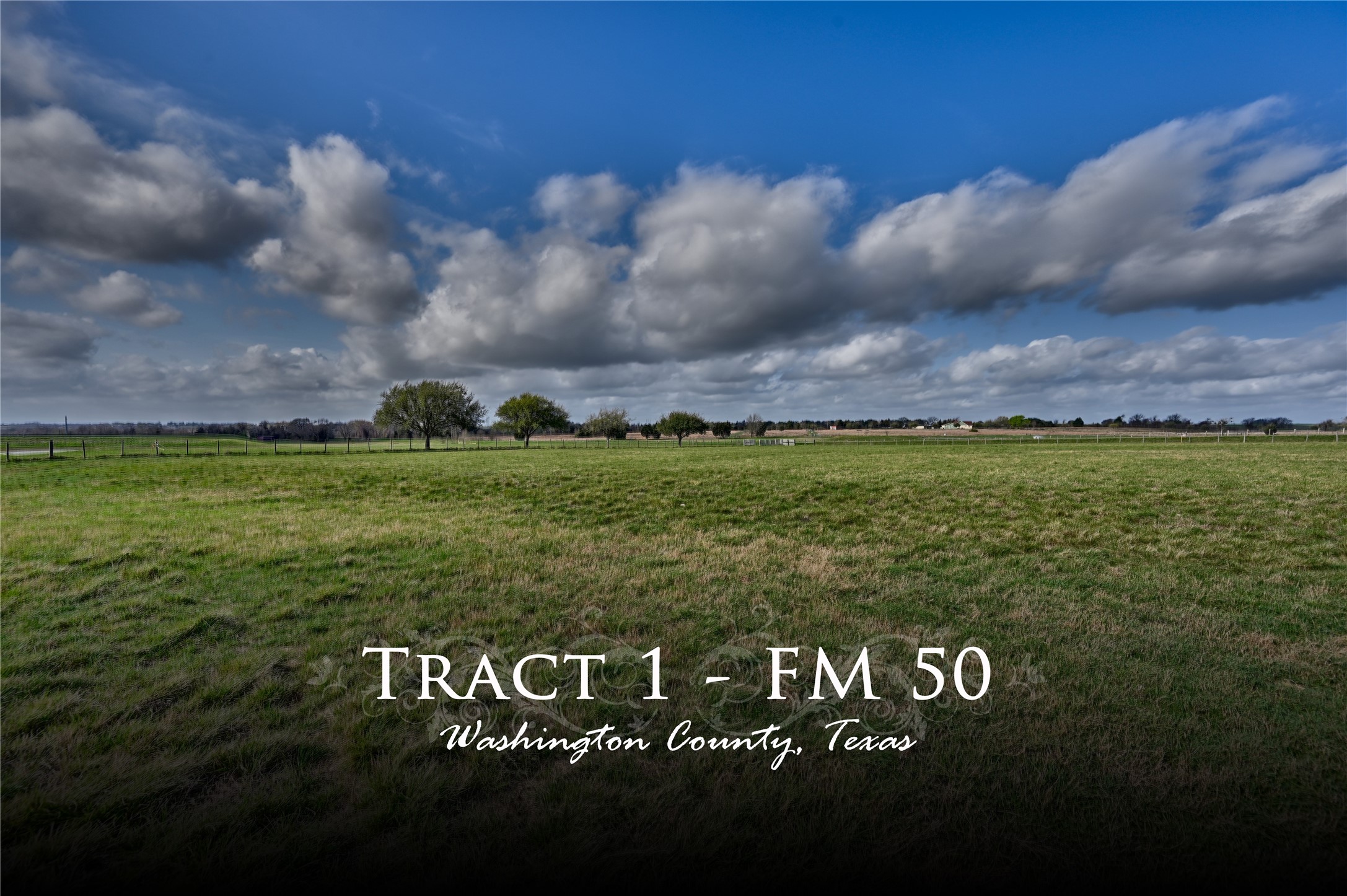 a view of a field
