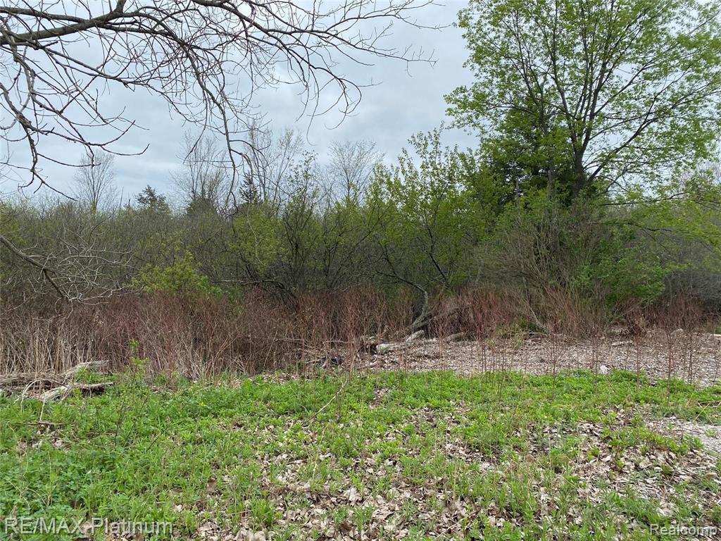 0 Joey Drive Pinckney, MI 48169 - Photo 2 of 5