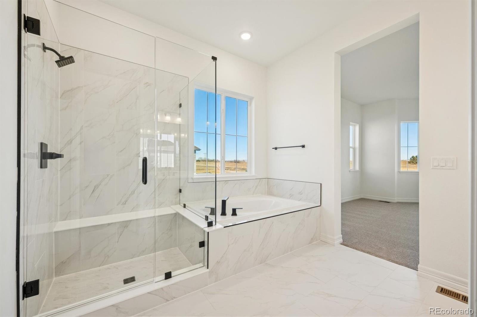 1168 Weller Street Timnath, CO 80547 - Photo 16 of 24 a bathroom with a bath tub and shower