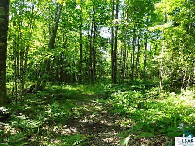 Xxx Island View Road Bayfield, WI 54814 - Photo 2 of 6 Gallery Image 2